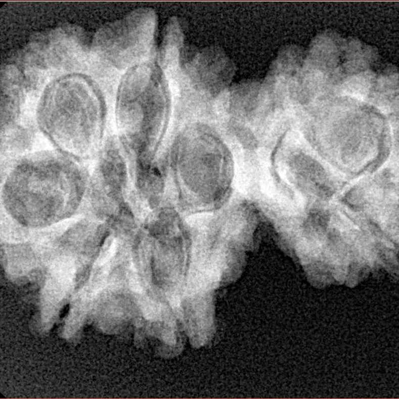 7 MK Gaurishankar 31.1mm 4.91gm - Xray