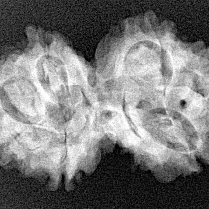 7 MK Gaurishankar 28.6mm 4.35gm - Xray