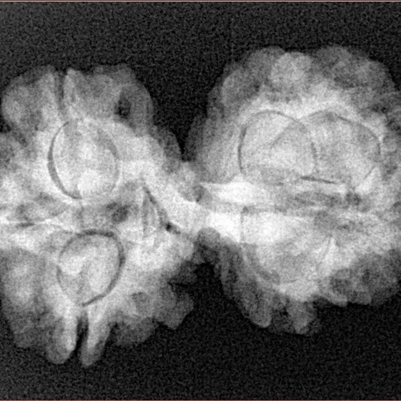 7 MK Gaurishankar 30.6mm 4.66gm - Xray