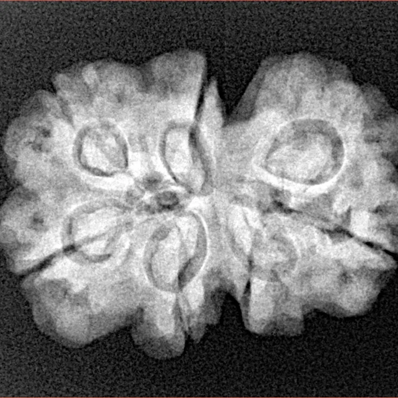 7 MK Gaurishankar 26.3mm 4.67gm - Xray