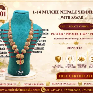 1-14 Mukhi Nepali Siddha Mala