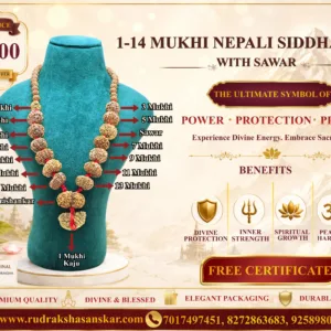 1-14 Mukhi Nepali Siddha Mala with Sawar