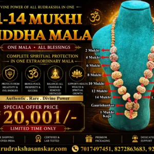 1–14 Mukhi Sidhmala – Complete Divine Power in One Sacred Mala
