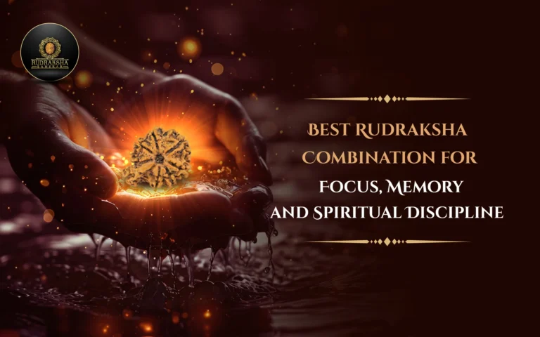 Best Rudraksha Combination for Focus, Memory and Spiritual Discipline 