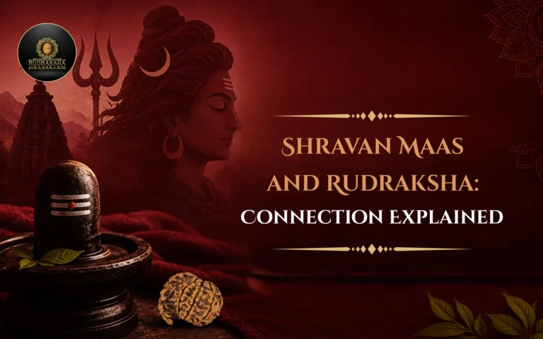 Shravan Maas and Rudraksha: Connection Explained 