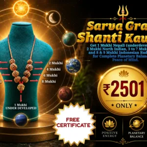 Dhan - Vidhya - Buddhi Kawach - Mala Image