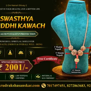 Swasthya Vriddhi Kawach – Health, Vitality & Protection