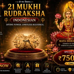 Rare 21 Mukhi Indonesian Rudraksha