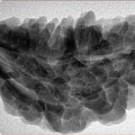 1 Mukhi Rudraksha 36.3mm 6.45gm - Inverse xray