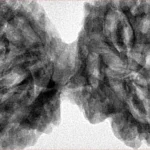 9 MK Gaurishankar 46mm 10.67gm - Inverse xray