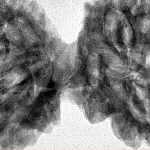 9 MK Gaurishankar 46mm 10.67gm - Inverse xray