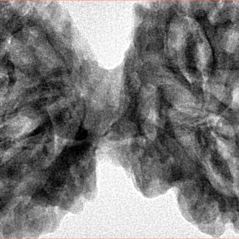 9 MK Gaurishankar 46mm 10.67gm - Inverse xray