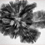 13 Mukhi Trijuti + Ganesh 31.2mm 6gm - Inverse xray