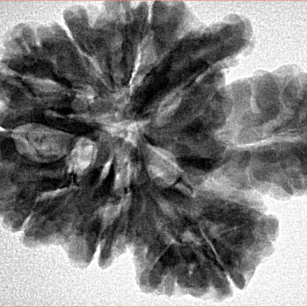 13 Mukhi Trijuti + Ganesh 31.2mm 6gm - Inverse xray