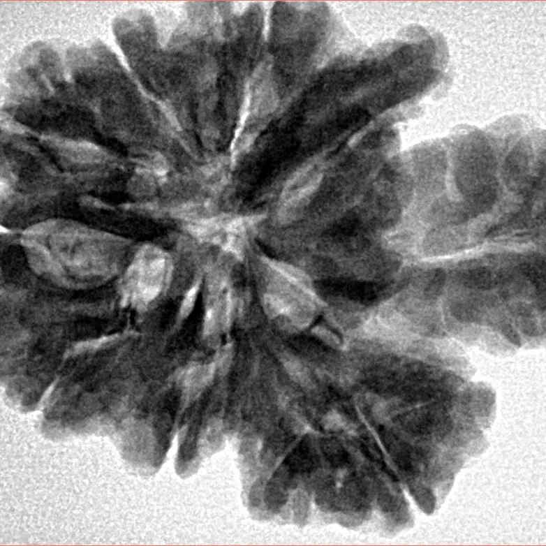 13 Mukhi Trijuti + Ganesh 31.2mm 6gm - Inverse xray