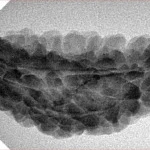 1 Mukhi Rudraksha 36.9mm 3.7gm - Inverse xray