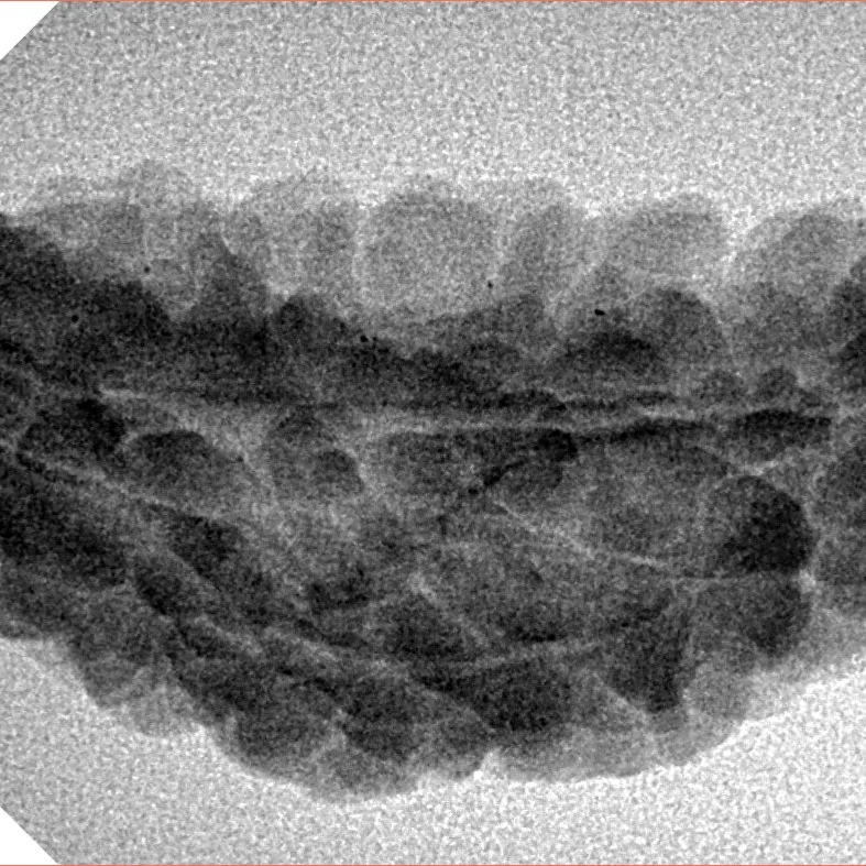 1 Mukhi Rudraksha 36.9mm 3.7gm - Inverse xray