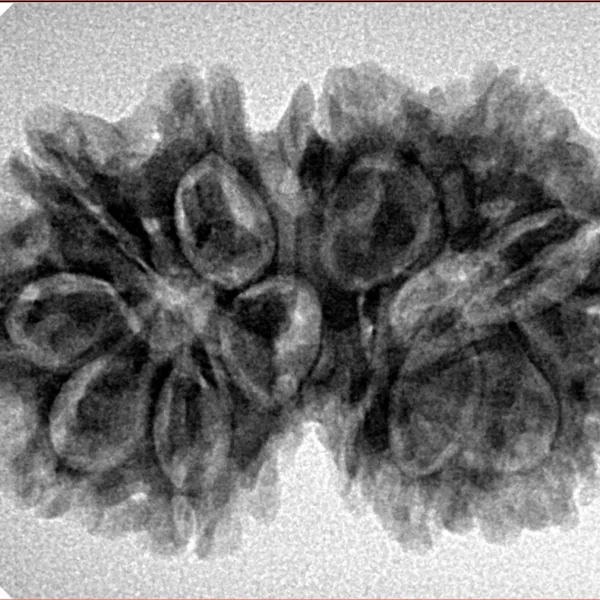 13 MK Gaurishankar 31.2mm 5.11gm - Inverse xray