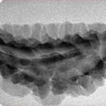 1 Mukhi Rudraksha 38.8mm 3.22gm - Inverse xray