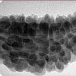 1 Mukhi Rudraksha 35.5mm 6.47gm - Inverse xray