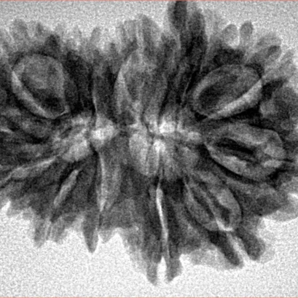 14 MK GS With Ganesh 31mm 4.77gm - Inverse xray