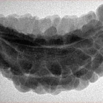 1 Mukhi Rudraksha 37.3mm 5.59gm - Inverse xray