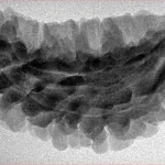 1 Mukhi Rudraksha 35mm 4.84gm - Inverse xray