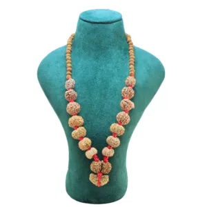 1 to 14 Mukhi Rudraksha Mala ( Siddha Mala ) - Certificate: DCL/2026/B/0099 - Mala Image