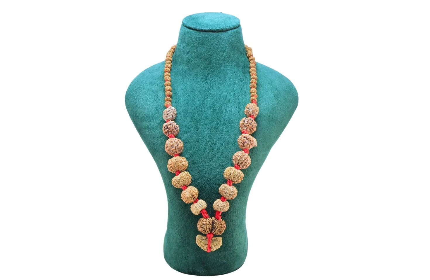 1 to 14 Mukhi Rudraksha Mala ( Siddha Mala ) - Certificate: DCL/2026/B/0099 - Mala Image