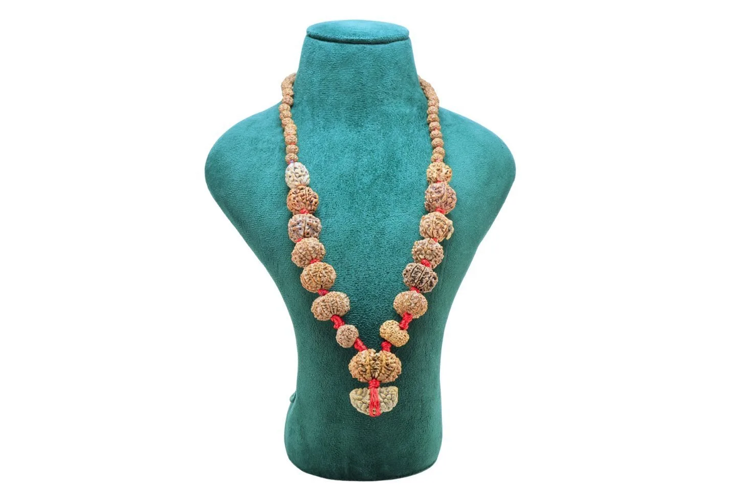 1 to 14 Mukhi Rudraksha Mala ( Siddha Mala ) - Certificate: DCL/2026/B/0127 - Mala Image