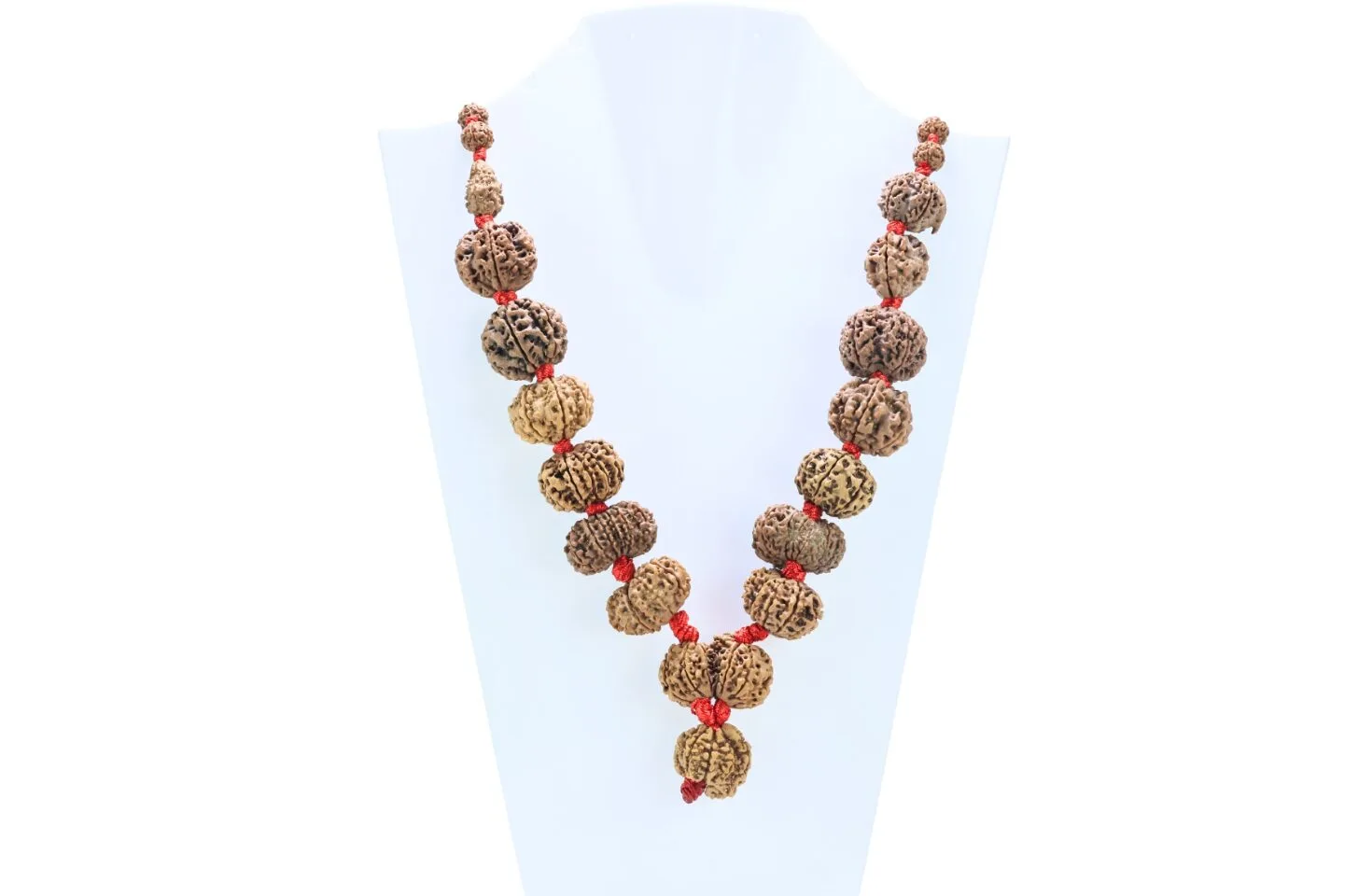 1 to 14 Mukhi Rudraksha Mala ( Siddha Mala ) - Certificate: DCL/2026/B/0014 - Mala Image