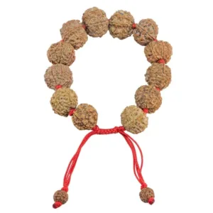 7 Mukhi Nepali Bracelet - Mala Image