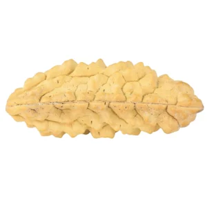 1 Mukhi Rudraksha 38.8mm 3.22gm - Rudraksha back