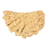 1 Mukhi Rudraksha 36.3mm 5gm - Rudraksha