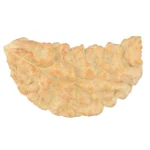 1 Mukhi Rudraksha 36.4mm 3.69gm - Rudraksha