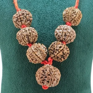 Sade Sati Suraksha Kawach - Rudraksha Zoom Image