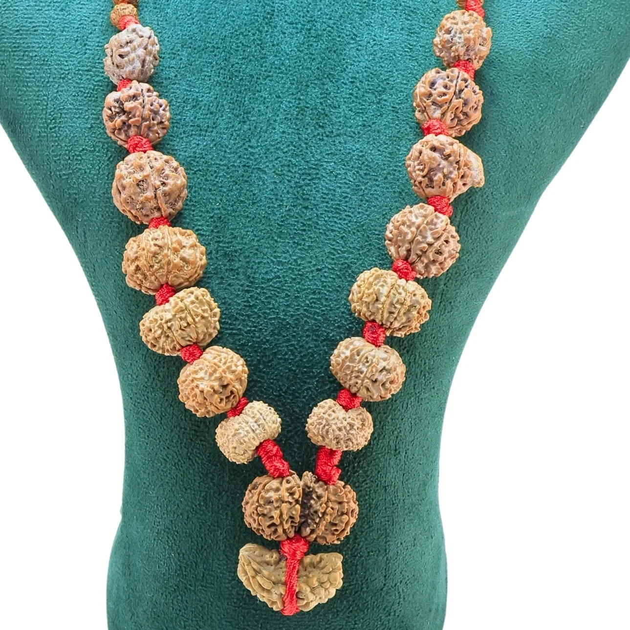 1 to 14 Mukhi Rudraksha Mala ( Siddha Mala ) - Certificate: DCL/2026/B/0099 - Rudraksha Zoom Image