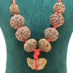 Sarva Graha Shanti Kawach ( with 1 Mukhi South Indian ) - Rudraksha Zoom Image