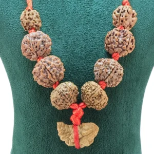 Sarva Graha Shanti Kawach ( with 1 Mukhi South Indian ) - Rudraksha Zoom Image