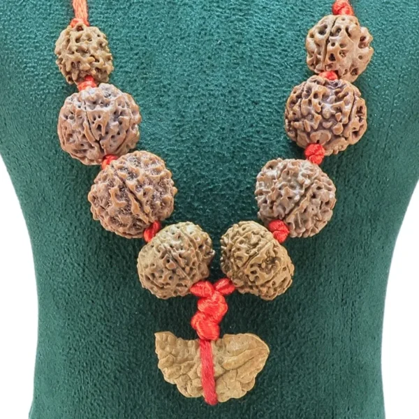 Sarva Graha Shanti Kawach ( with 1 Mukhi South Indian ) - Rudraksha Zoom Image