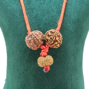 Sukh Samridhi Kawach - Rudraksha Zoom Image