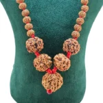 Nirakar Kawach - Rudraksha Zoom Image