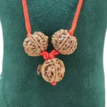 Mahalaxmi Ashirwad Kawach - Rudraksha Zoom Image