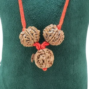 Mahalaxmi Ashirwad Kawach - Rudraksha Zoom Image