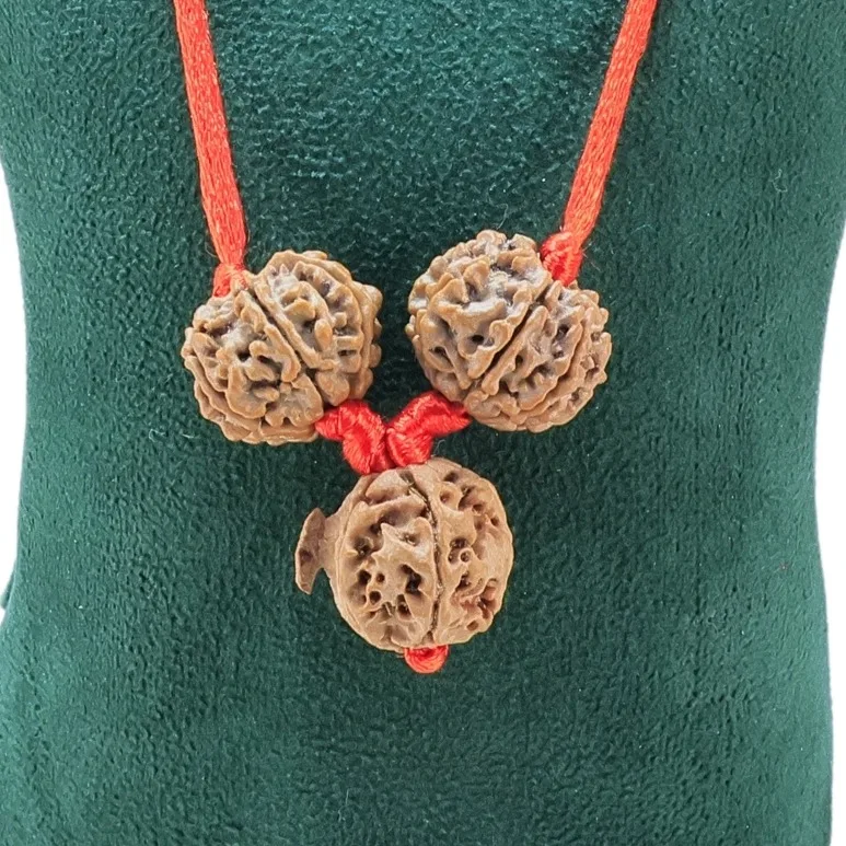 Mahalaxmi Ashirwad Kawach - Rudraksha Zoom Image