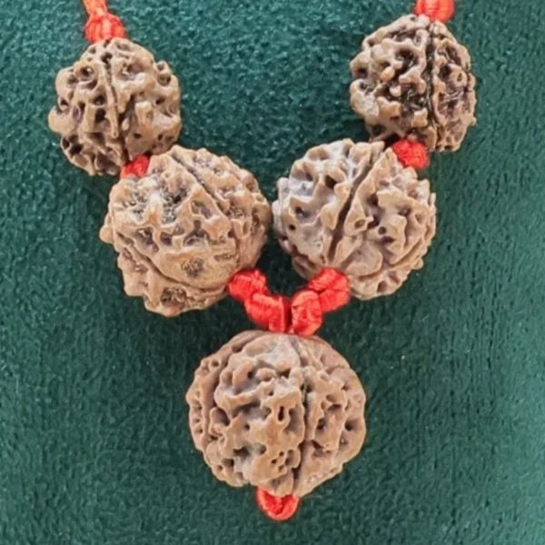 Swasthya Kawach - Rudraksha Zoom Image