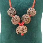 Will - Power Boost Kawach - Rudraksha Zoom Image