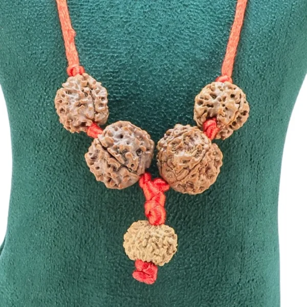 Swasthya Vriddhi Kawach - Rudraksha Zoom Image