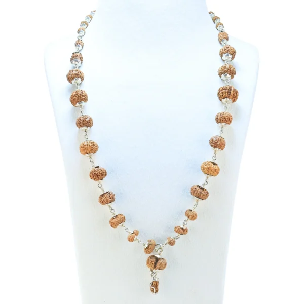 Indrakshi Mala with Silver Capping ( Indonesian ) - Rudraksha Zoom Image