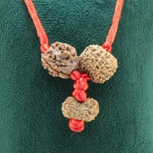 Hanuman Shakti Kawach - Rudraksha Zoom Image